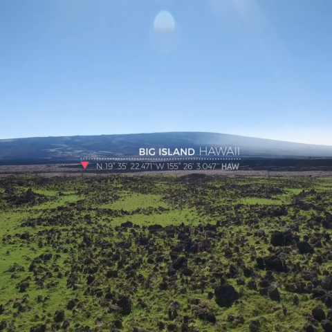 ShadesofWinter Between_FullMovie 05471