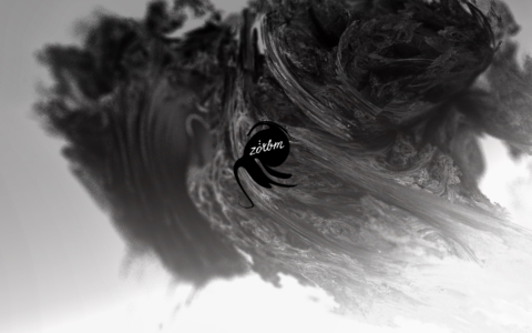 DORIS SCHMIEDLECHNER